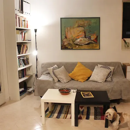 Street Garden * Hvar Town