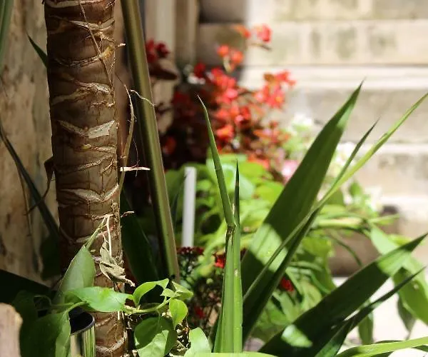 Street Garden フヴァル